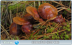 0_e6b97_3f2c962b_orig.png