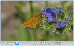 0_e7452_88267f61_orig.png