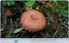 0_ef37c_8e31f4e8_orig.png