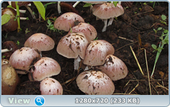 0_e6683_eb549236_orig.png