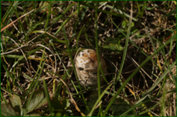 0_da4d0_683f5477_orig.png