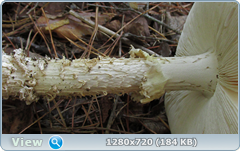 0_fbbc9_1f34e471_orig.png