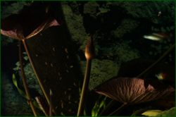 0_dfc86_f03898d6_orig.png