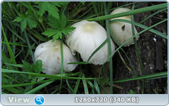 0_e6a14_9bfa37b4_orig.png
