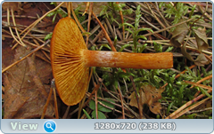 0_f3e38_f229467b_orig.png
