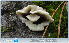 0_f7eba_654ba45_orig.png