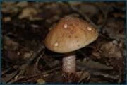 0_d23b2_807859b5_orig.jpg