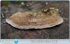 0_f5634_9719b3b7_orig.png