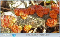 0_1027b3_90a44d6d_orig.png