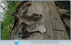 0_10b2e6_b886eac5_orig.png