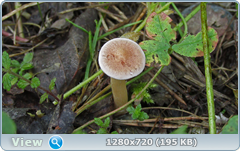 0_e94a2_4c5f677d_orig.png
