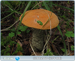 0_eafb5_9de5b46d_orig.png