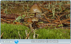 0_e9629_89f67be6_orig.png