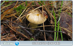 0_e9ac3_63f4bdd0_orig.png
