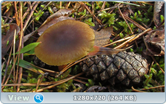 0_f30b3_48e5e431_orig.png
