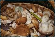 0_d2460_30937b6f_orig.jpg