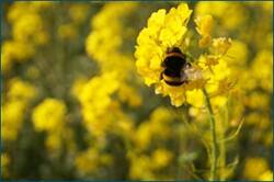 0_cc64f_31244398_orig.jpg