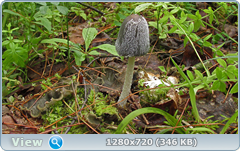 0_e6a2a_13d553e8_orig.png