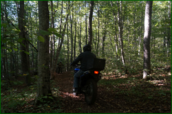 0_d9649_34f7b13f_orig.png