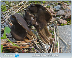 0_eb04a_6f3c436b_orig.png