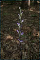 0_cea60_3ef255a3_orig.jpg