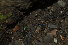 0_e0065_fa639168_orig.png