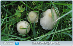 0_e6a16_6b00d504_orig.png