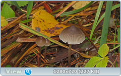 0_f3039_72c88d56_orig.png