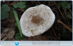 0_f3063_7d4d7bd1_orig.png
