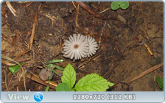 0_eab27_647f19f4_orig.png