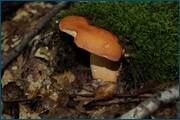 0_d2a2e_424b63f2_orig.jpg