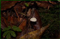 0_d95ab_acc55ec_orig.png