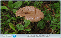 0_eb204_8c845abd_orig.png