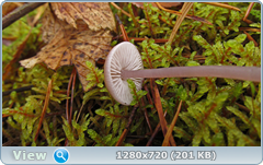 0_f27c6_2495f946_orig.png
