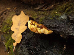 0_c4b27_69636255_M.jpg