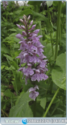 0_e6d30_4644ccbe_orig.png