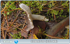 0_f277e_a4624c52_orig.png