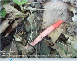 0_12ce9d_2727b9a1_orig.png