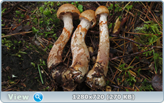 0_eb212_7bd5ce34_orig.png