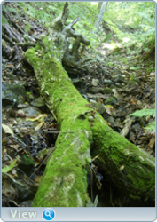 0_130bd9_1a00720d_orig.png