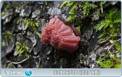 0_e94c8_3a6b4982_orig.png