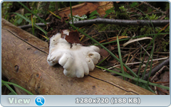 0_112d02_86c07823_orig.png
