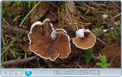 0_112d0d_a9ef75ef_orig.png