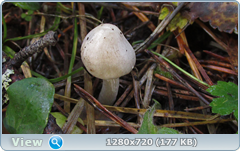 0_f3057_244c8854_orig.png