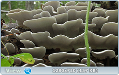 0_e9b23_55d0d57b_orig.png