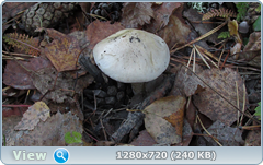 0_f37d8_5e787d68_orig.png