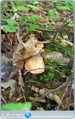 0_102df5_72200d78_orig.png