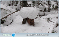 0_fa665_877f579d_orig.png