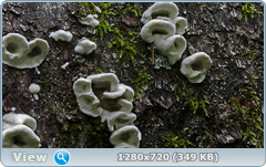 0_e94e2_8542a577_orig.png