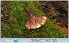 0_eb28b_50752eee_orig.png